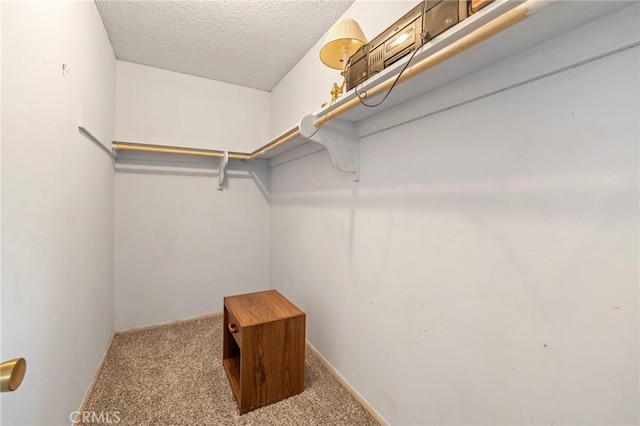 walk in closet featuring carpet