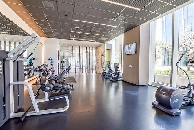 exercise room featuring expansive windows and a paneled ceiling