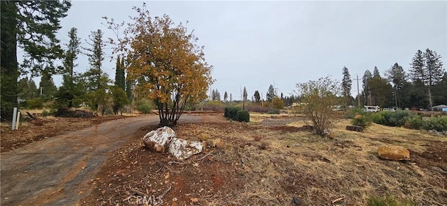 6197 Ponderosa Way, Magalia, CA 95954 - photo 3