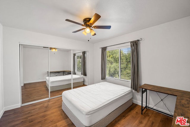 bedroom with ceiling fan, dark hardwood / wood-style floors, and a closet