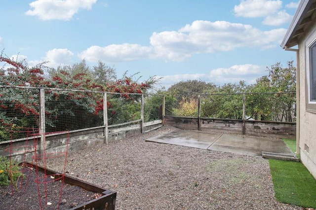 view of yard featuring a patio area