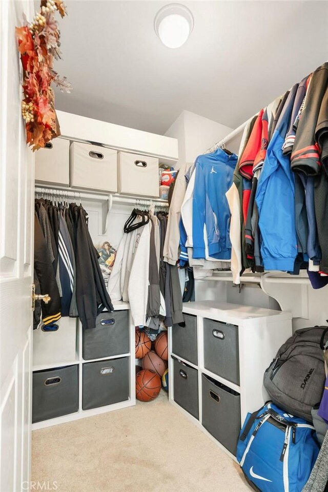 walk in closet with light carpet