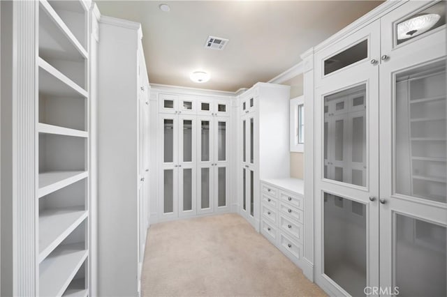 walk in closet with light colored carpet