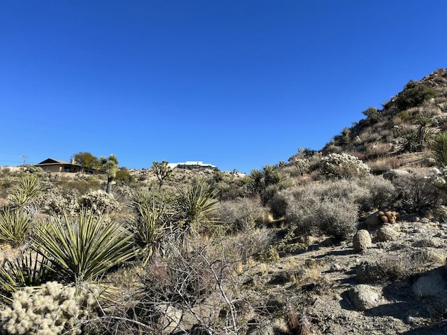 Listing photo 3 for 0 Farrelo Rd, Yucca Valley CA 92284