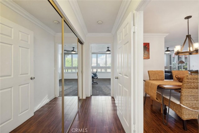 hall featuring dark wood-style flooring, a notable chandelier, crown molding, and baseboards