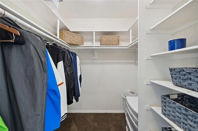 spacious closet with dark carpet