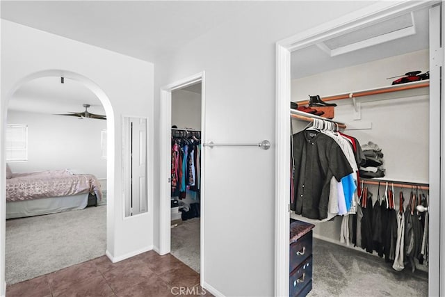 spacious closet featuring carpet floors