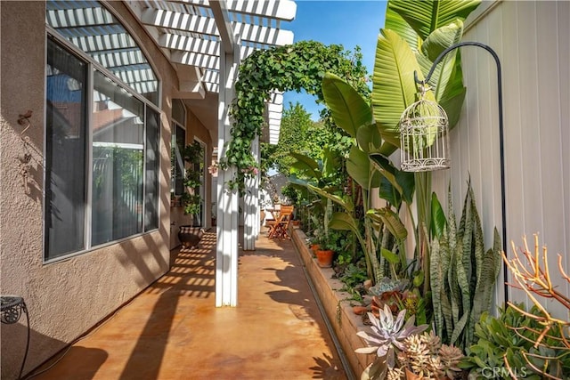 view of patio featuring a pergola