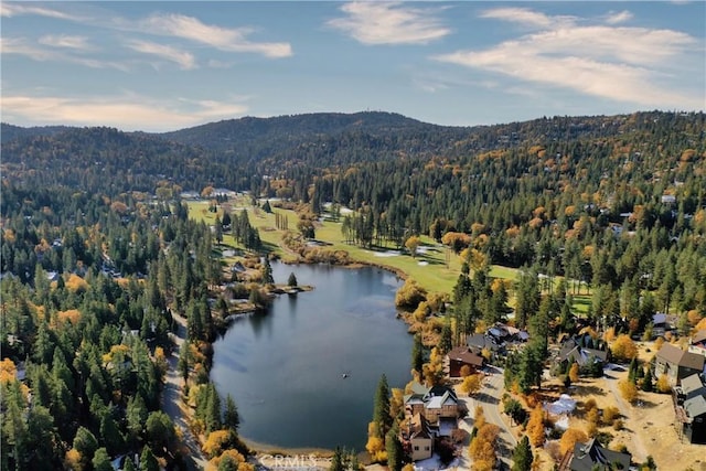 918 Sandalwood Dr, Lake Arrowhead, CA 92352 - aerial overview of property's location with a heavily wooded area and a water and mountain view
