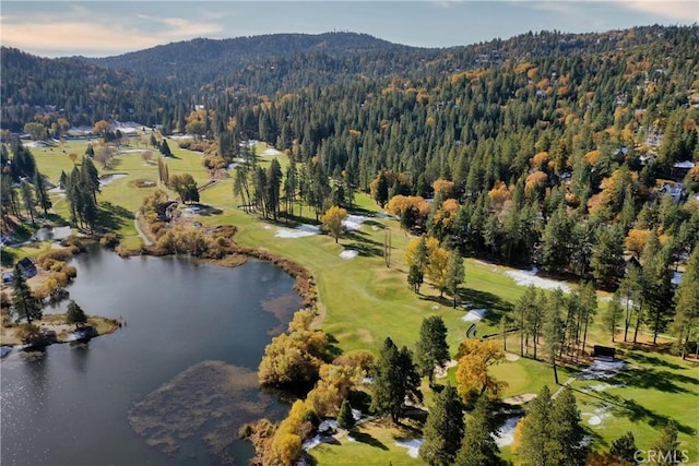 918 Sandalwood Dr, Lake Arrowhead, CA 92352 - view of property location featuring a water and mountain view and a golf course