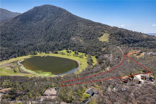 8250 Little Borax Lake Rd, Kelseyville CA, 95451 land for sale