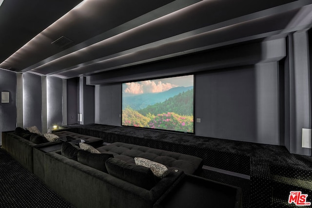 view of home theater room