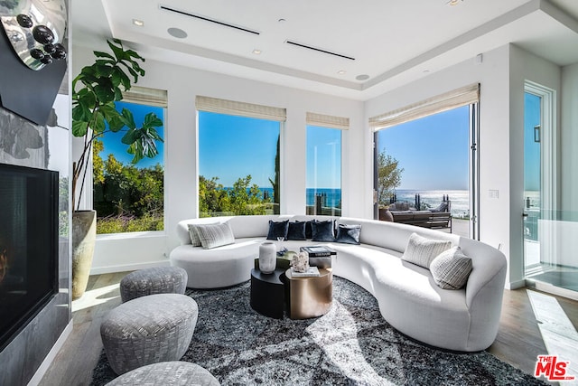 living room with hardwood / wood-style floors and plenty of natural light