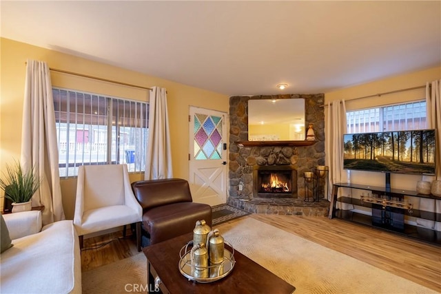 living room with a fireplace and wood-type flooring