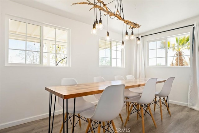 dining space featuring hardwood / wood-style floors