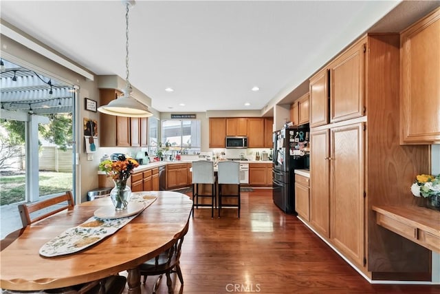 dining room featuring a wealth of natural light and dark wood-type flooring