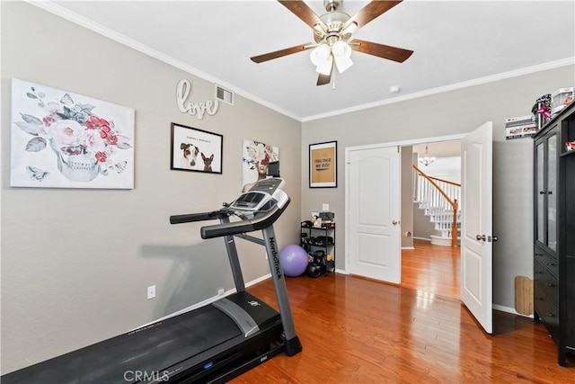 exercise room featuring hardwood / wood-style flooring, ceiling fan with notable chandelier, and crown molding