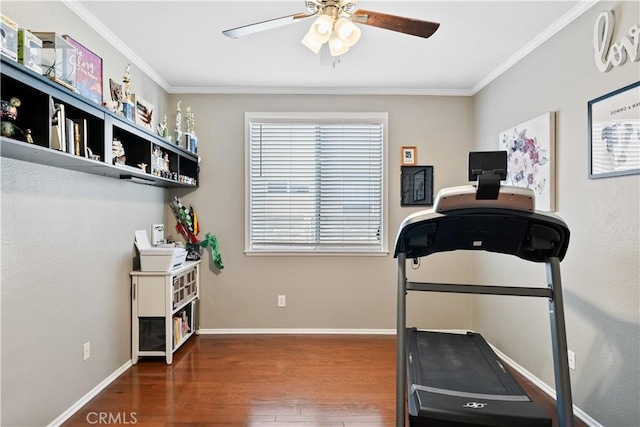 exercise area featuring crown molding, ceiling fan, and wood-type flooring