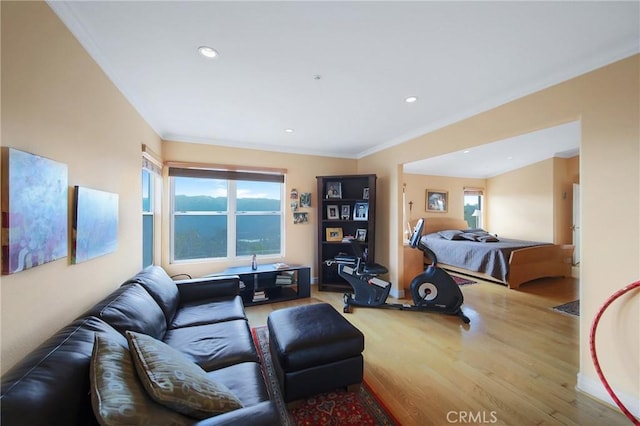 living room with light wood-type flooring, ornamental molding, and a wealth of natural light