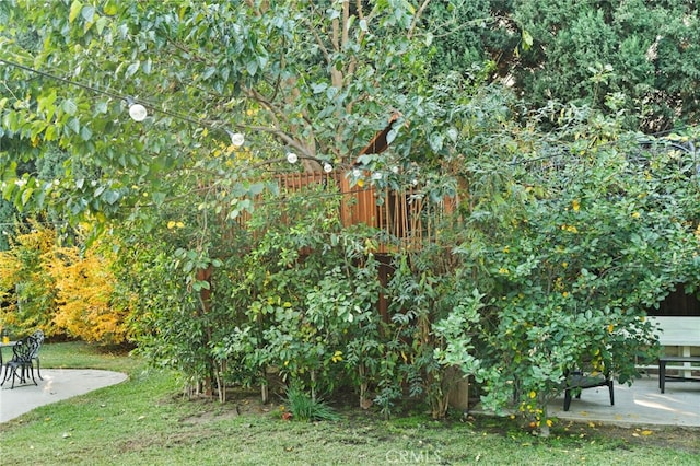 view of yard with a patio