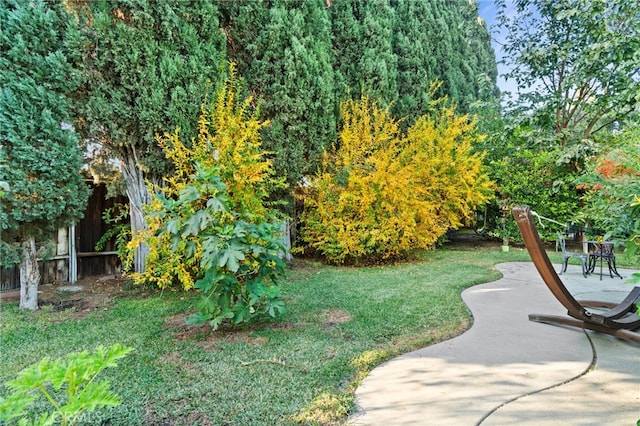 view of yard with a patio