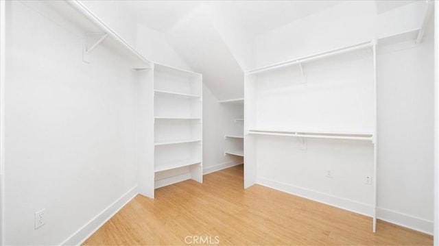 walk in closet with wood-type flooring