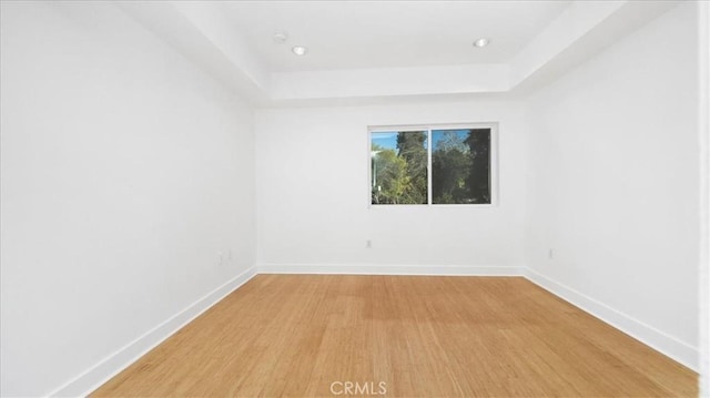 unfurnished room with a raised ceiling and light wood-type flooring