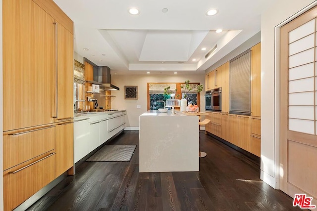 kitchen with oven, dark hardwood / wood-style floors, a raised ceiling, and sink