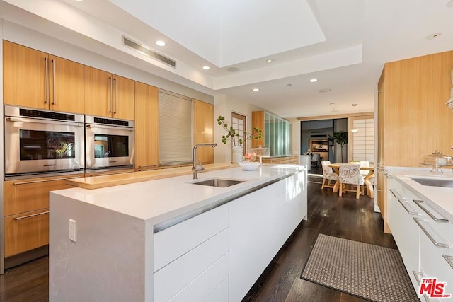 kitchen with sink, a tray ceiling, a kitchen island, dark hardwood / wood-style flooring, and white cabinetry