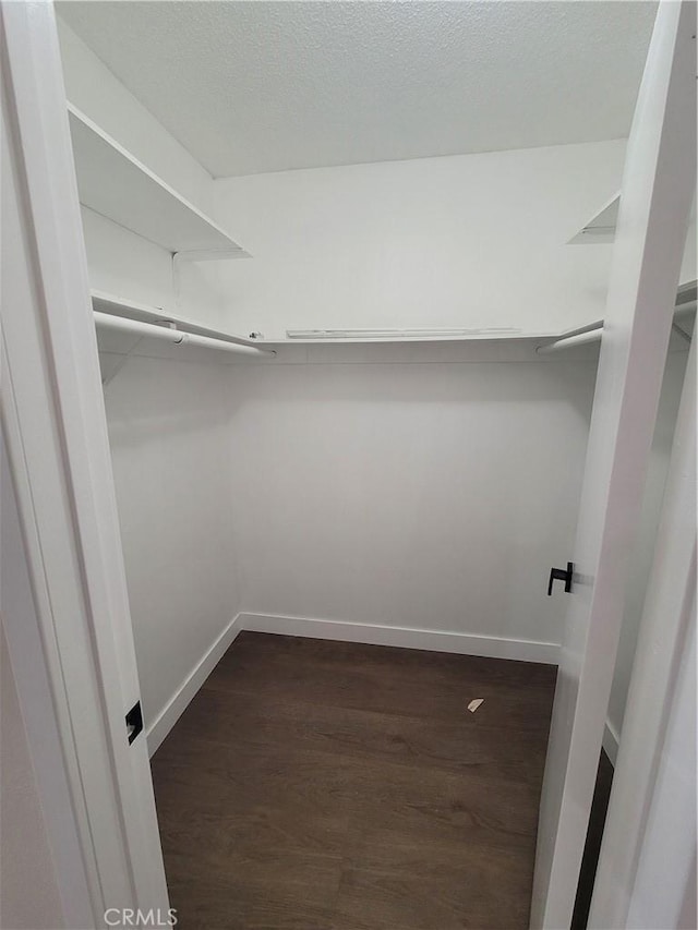 spacious closet featuring dark hardwood / wood-style flooring