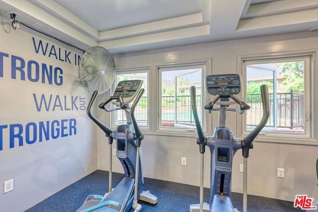 exercise area with a raised ceiling