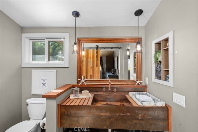 bathroom with toilet and sink