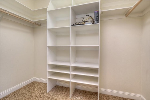 walk in closet with carpet flooring