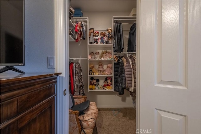 spacious closet with carpet