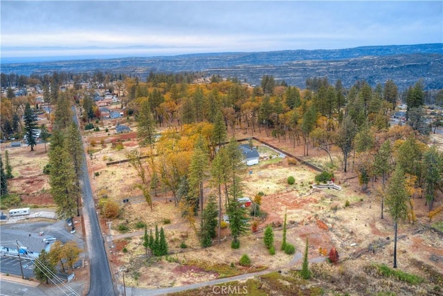 1007 Thomasson Ln, Paradise, CA 95969