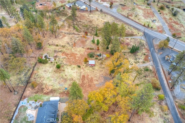 1007 Thomasson Ln, Paradise, CA 95969