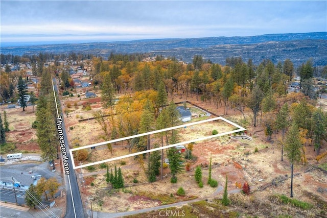 1007 Thomasson Ln, Paradise, CA 95969