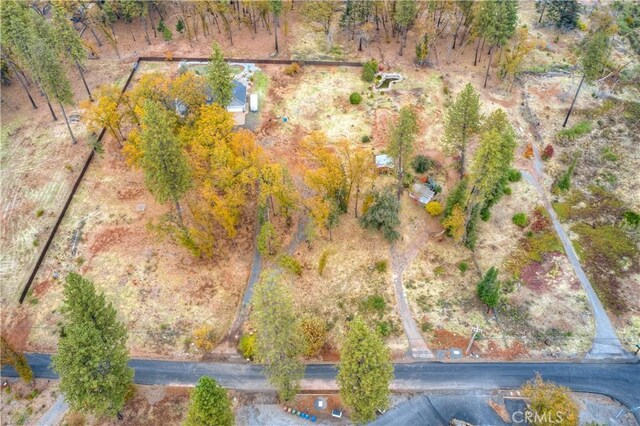 1007 Thomasson Ln, Paradise, CA 95969