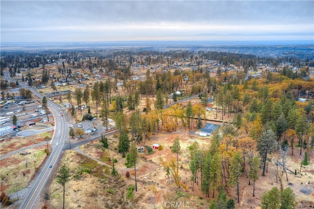 1007 Thomasson Ln, Paradise, CA 95969