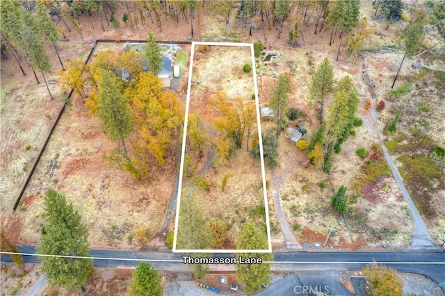 1007 Thomasson Ln, Paradise, CA 95969