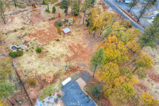 1007 Thomasson Ln, Paradise, CA 95969