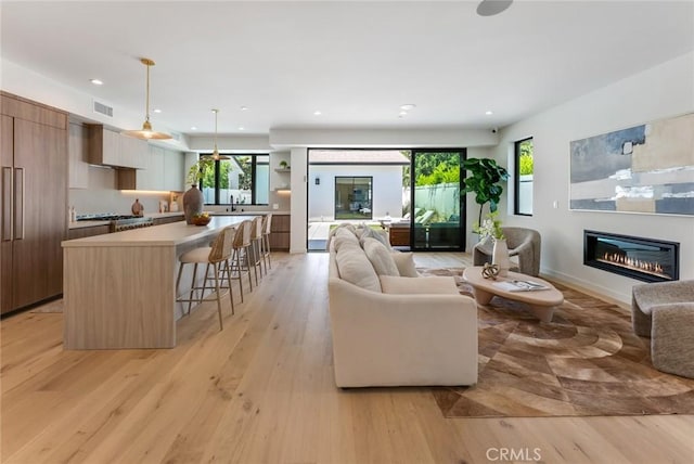 living room with light hardwood / wood-style flooring