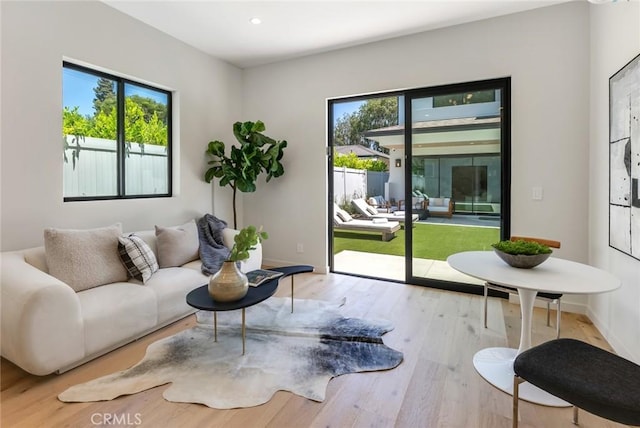 living room with light wood-type flooring