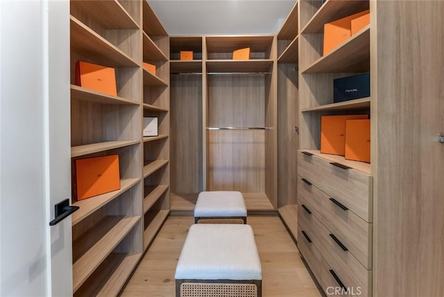 spacious closet with light hardwood / wood-style flooring