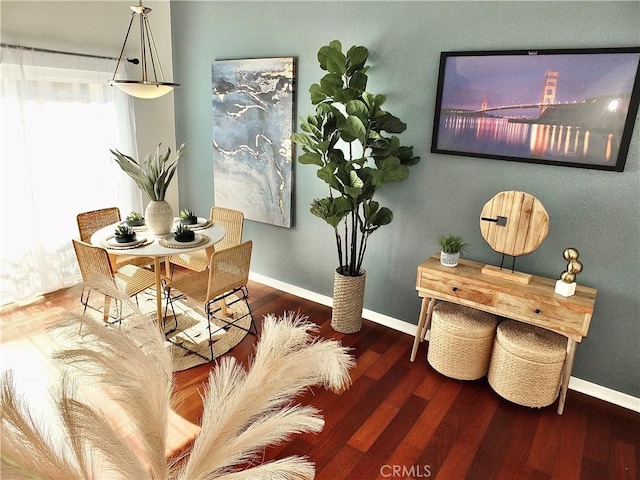 dining room with dark hardwood / wood-style flooring