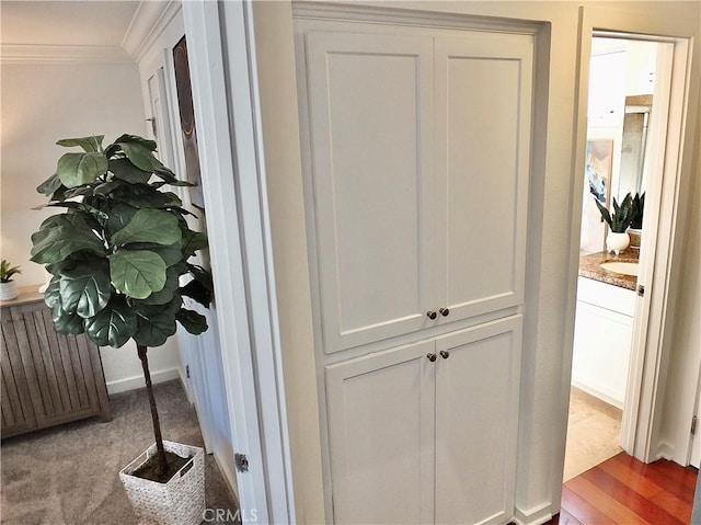 hallway featuring light hardwood / wood-style floors, radiator, and crown molding