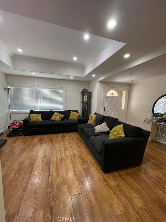 living room featuring hardwood / wood-style floors, crown molding, and a tray ceiling