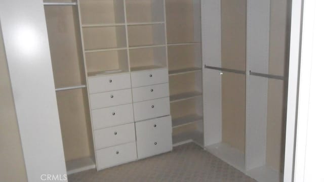 walk in closet featuring light colored carpet