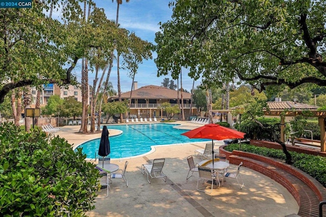 view of swimming pool featuring a patio