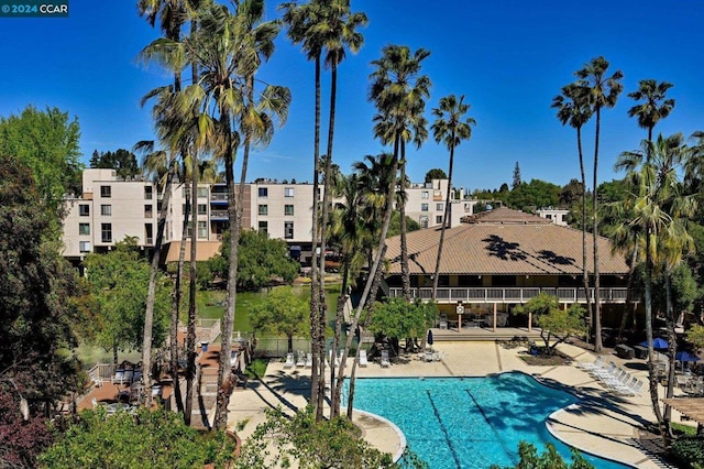 view of swimming pool with a patio